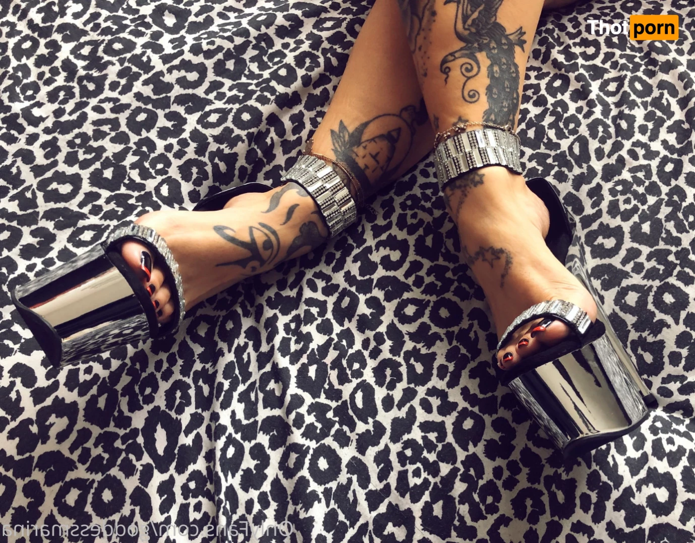 Latina Marina 8353851