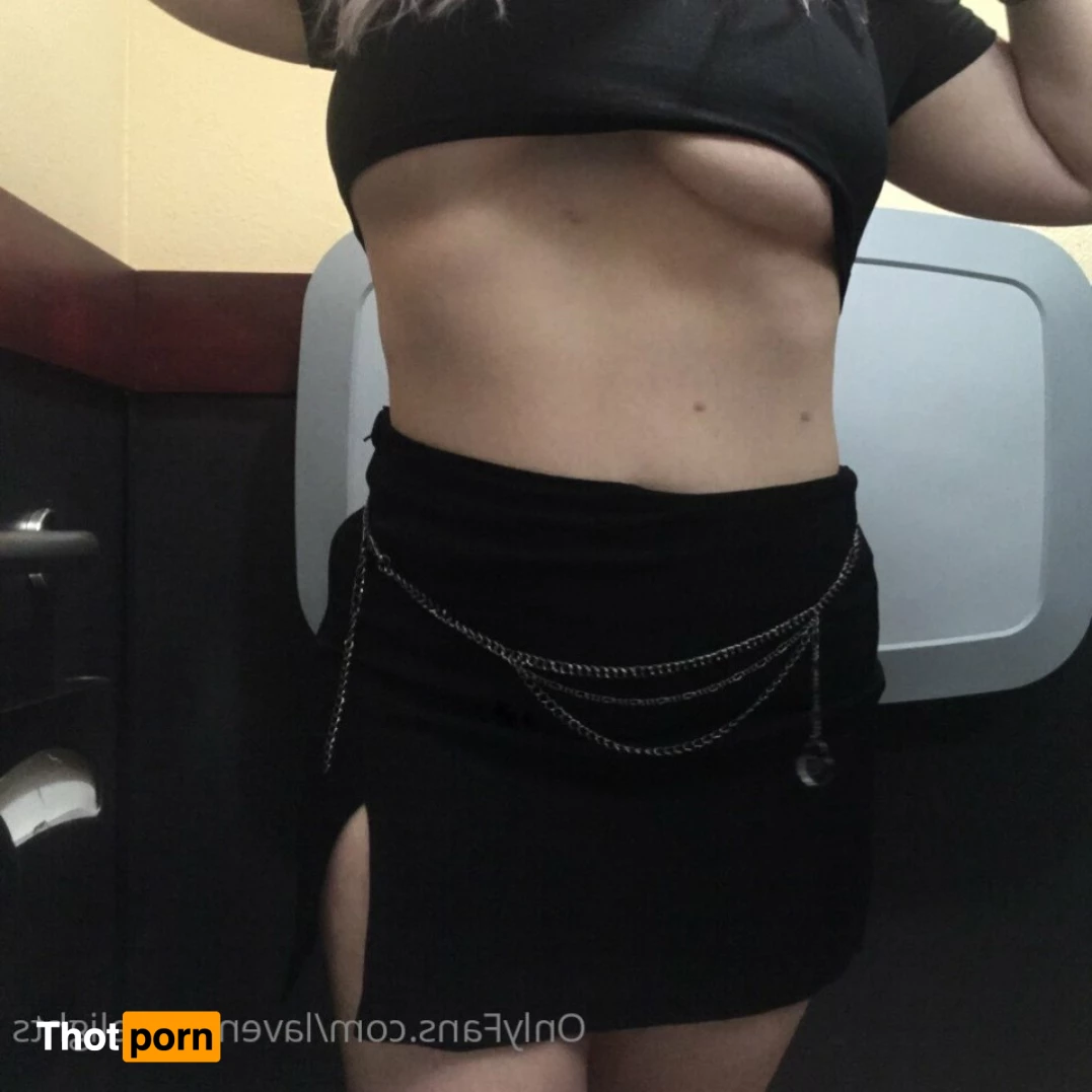 Lavender Delights 8644183