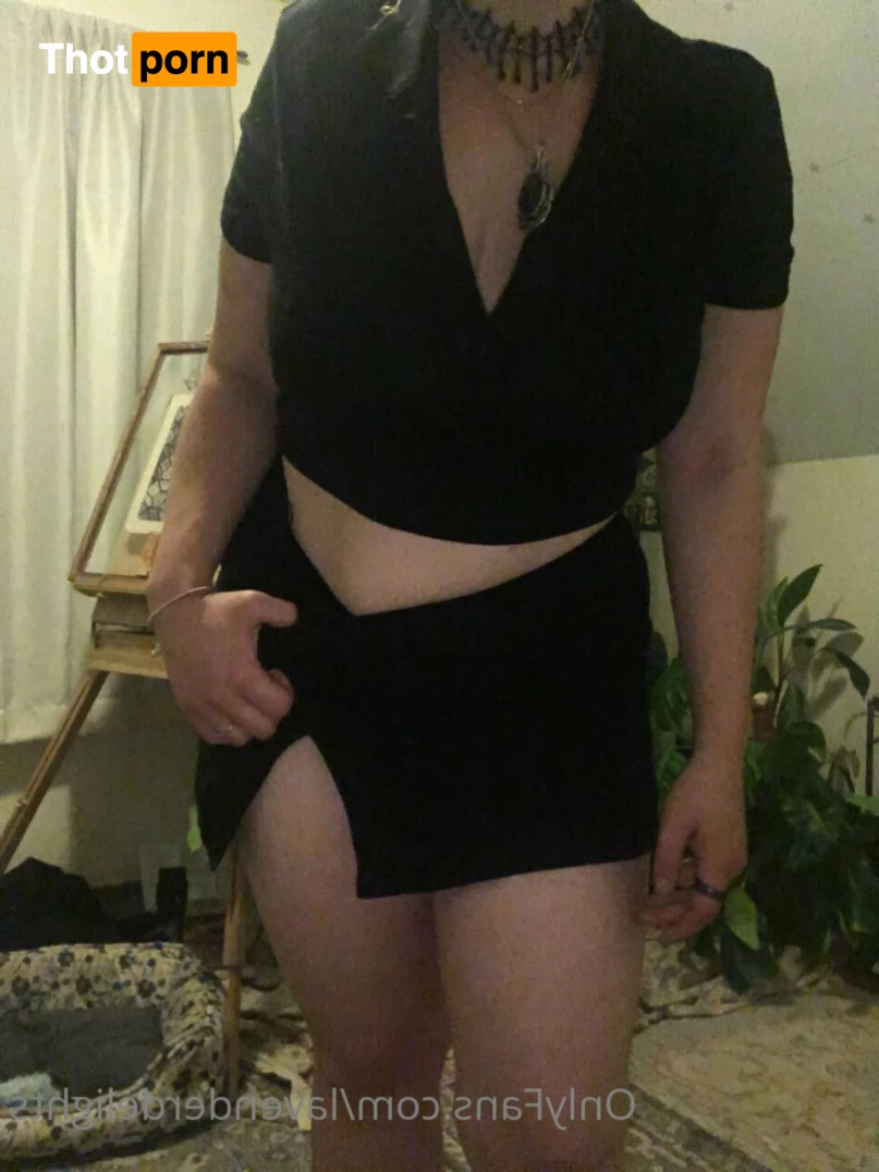 Lavender Delights 8644220