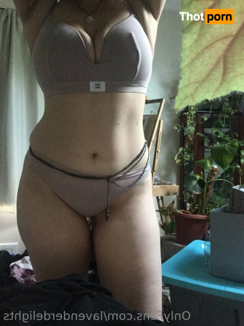 Lavender Delights 8644240