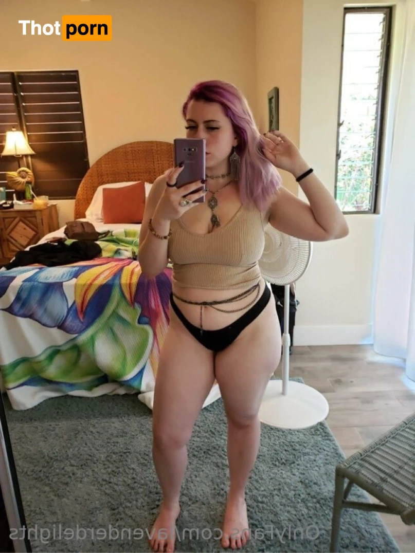 Lavender Delights 8644339