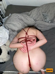 15208797