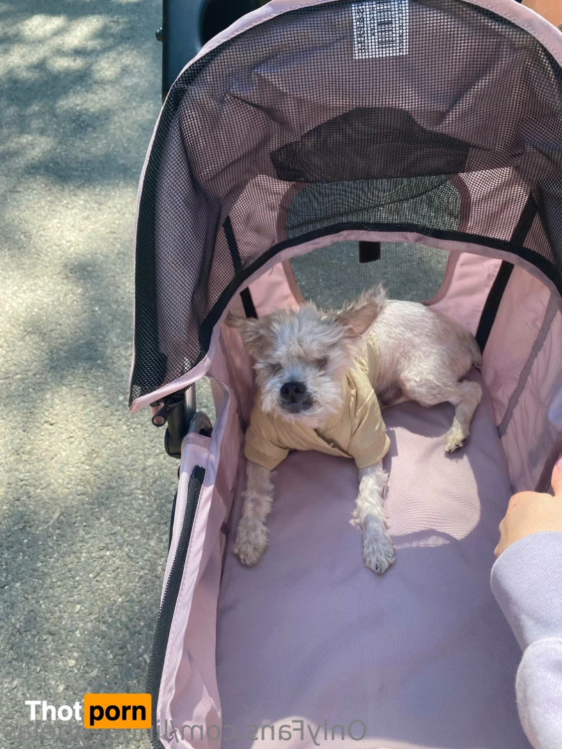 Lindsey Pelas 11523956