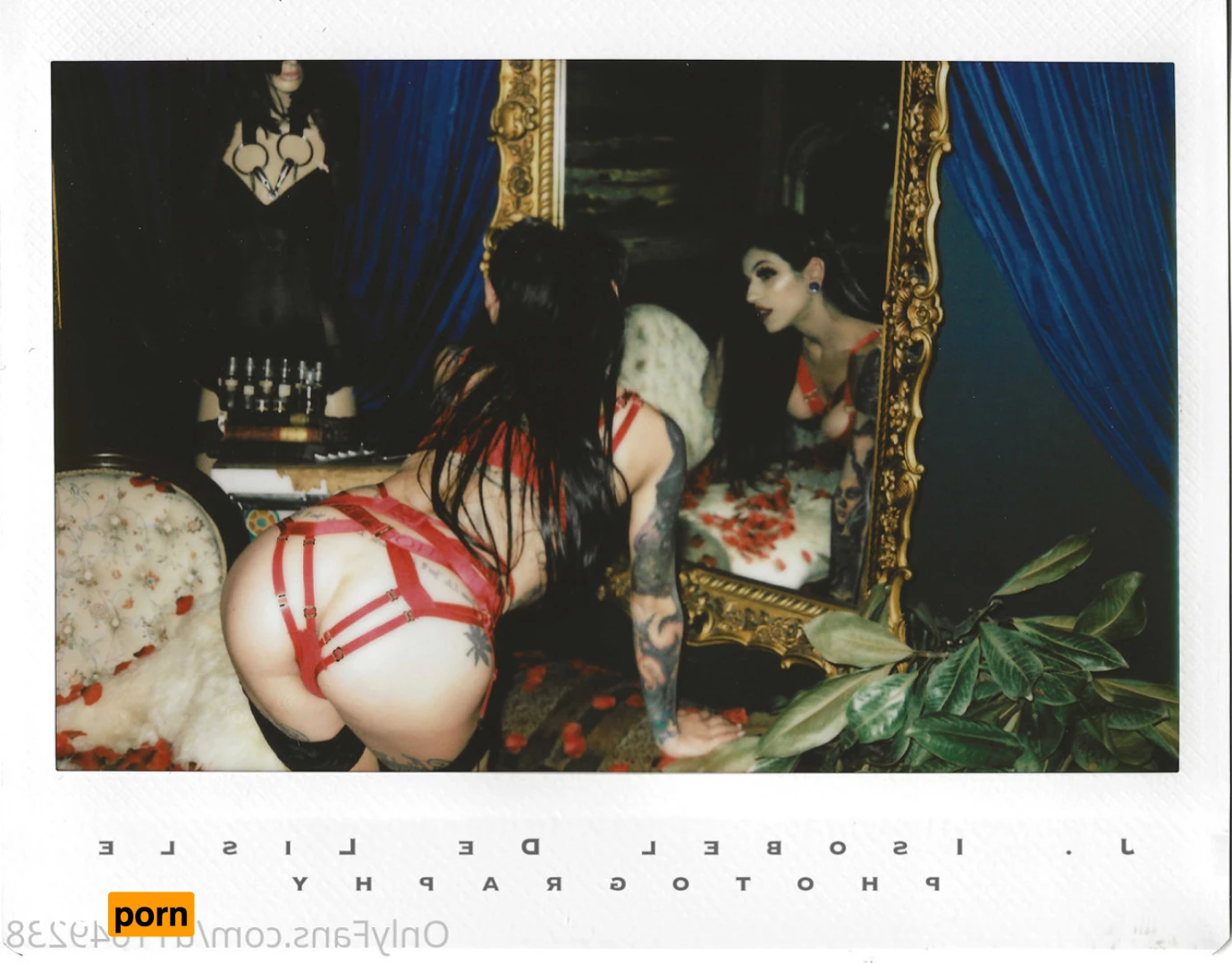 Marley Quinn 8274351