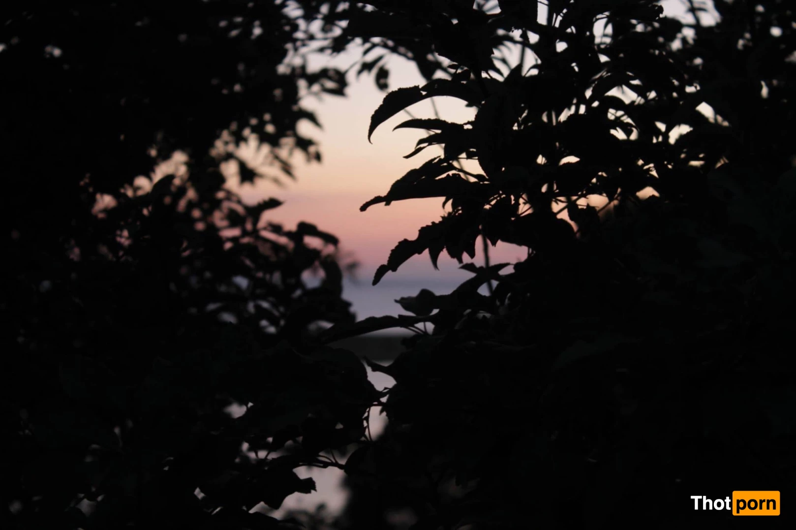 Marley Quinn 8274467