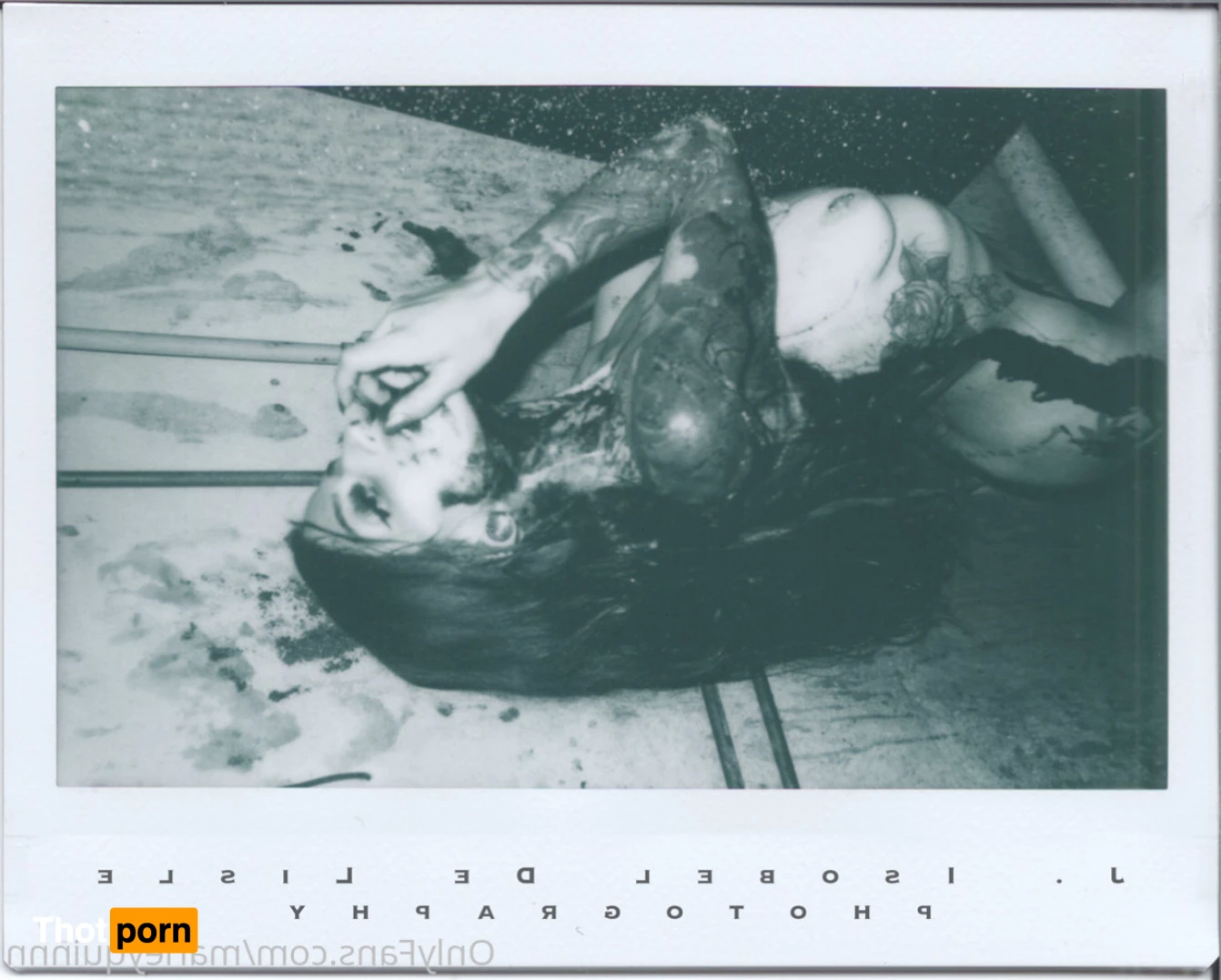 Marley Quinn 8274531