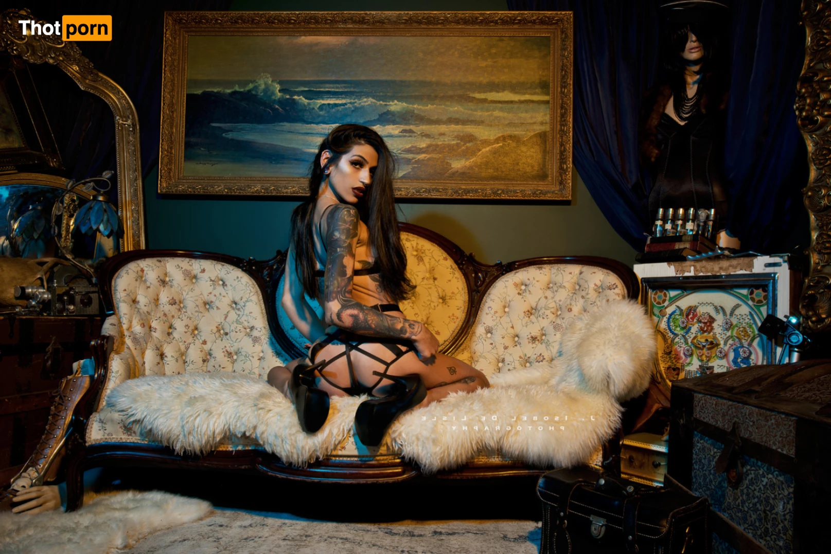 Marley Quinn 8274710