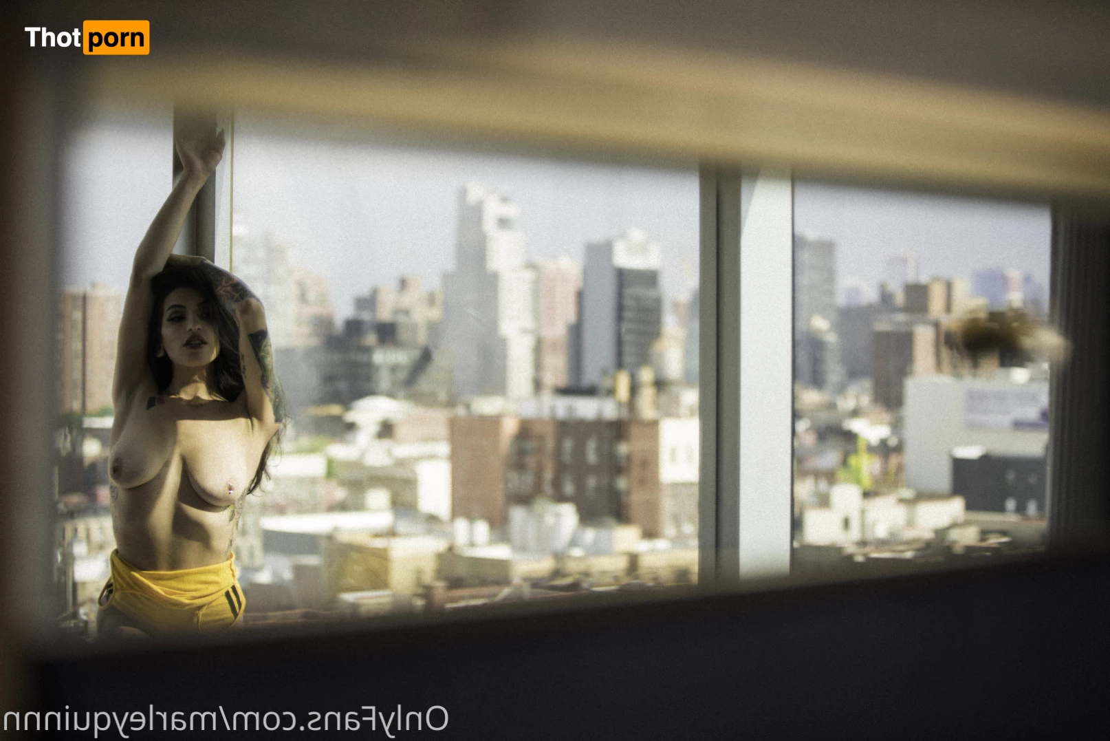 Marley Quinn 8274730