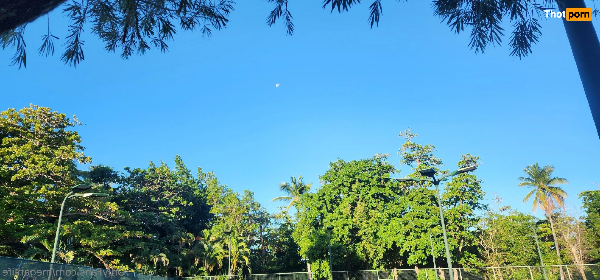 Megan's Life | Ginger ASMR 8550872