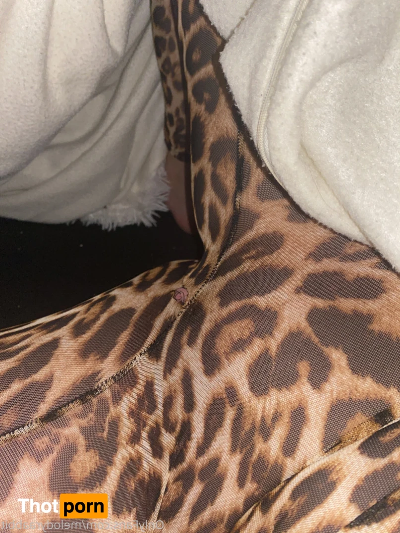 Cutie with a Booty 11185362