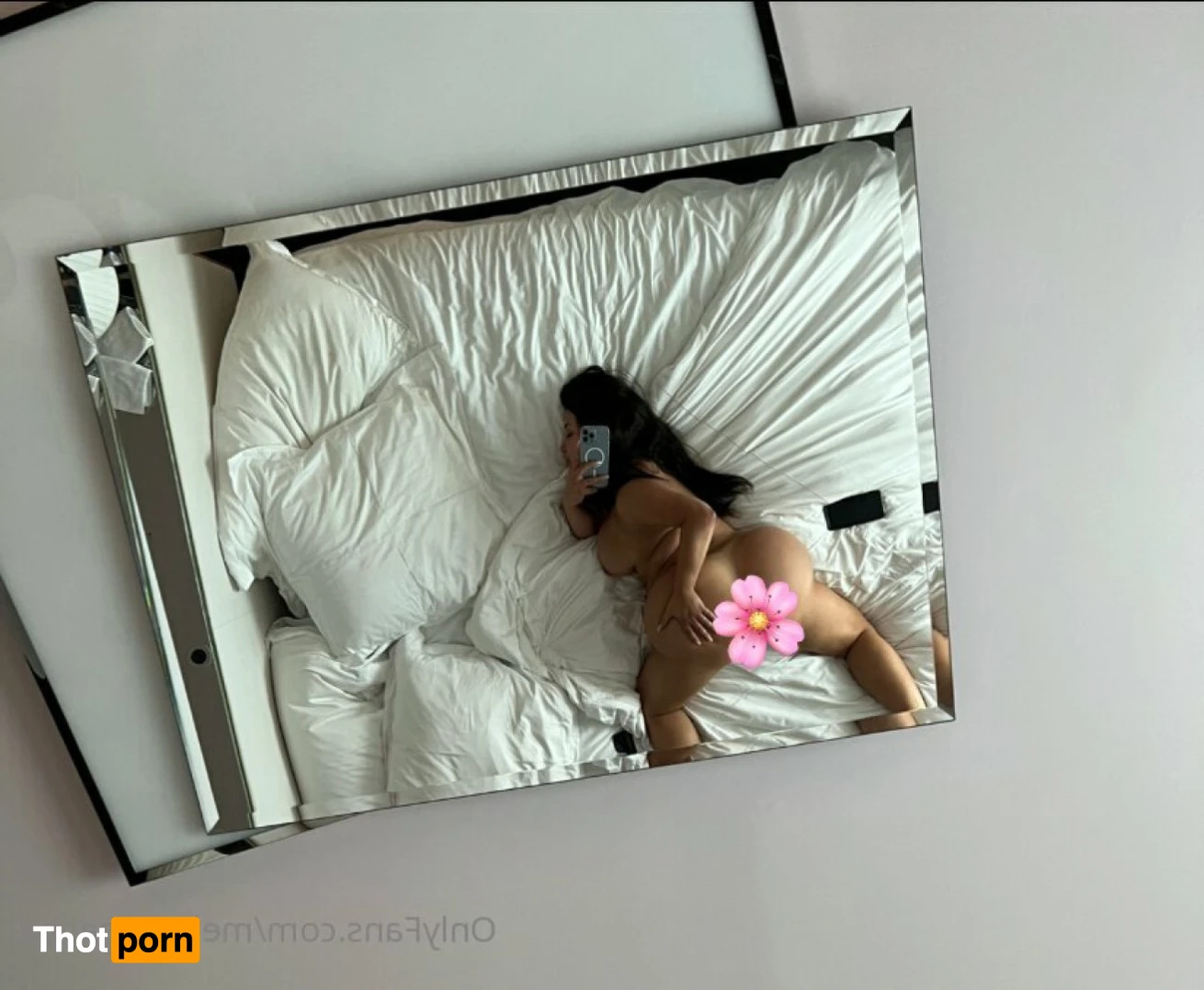 Cutie with a Booty 14779938