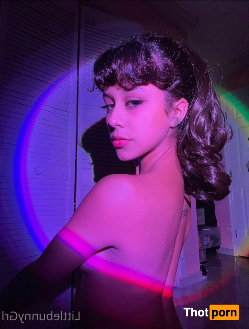 Little Bunny 11304587