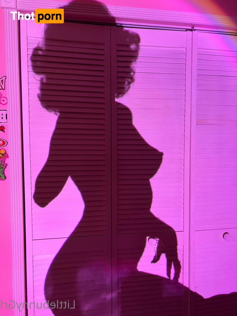 Little Bunny 11305083