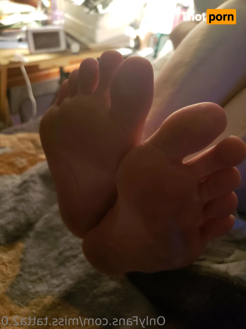 Miss.tattas2.0 14585683