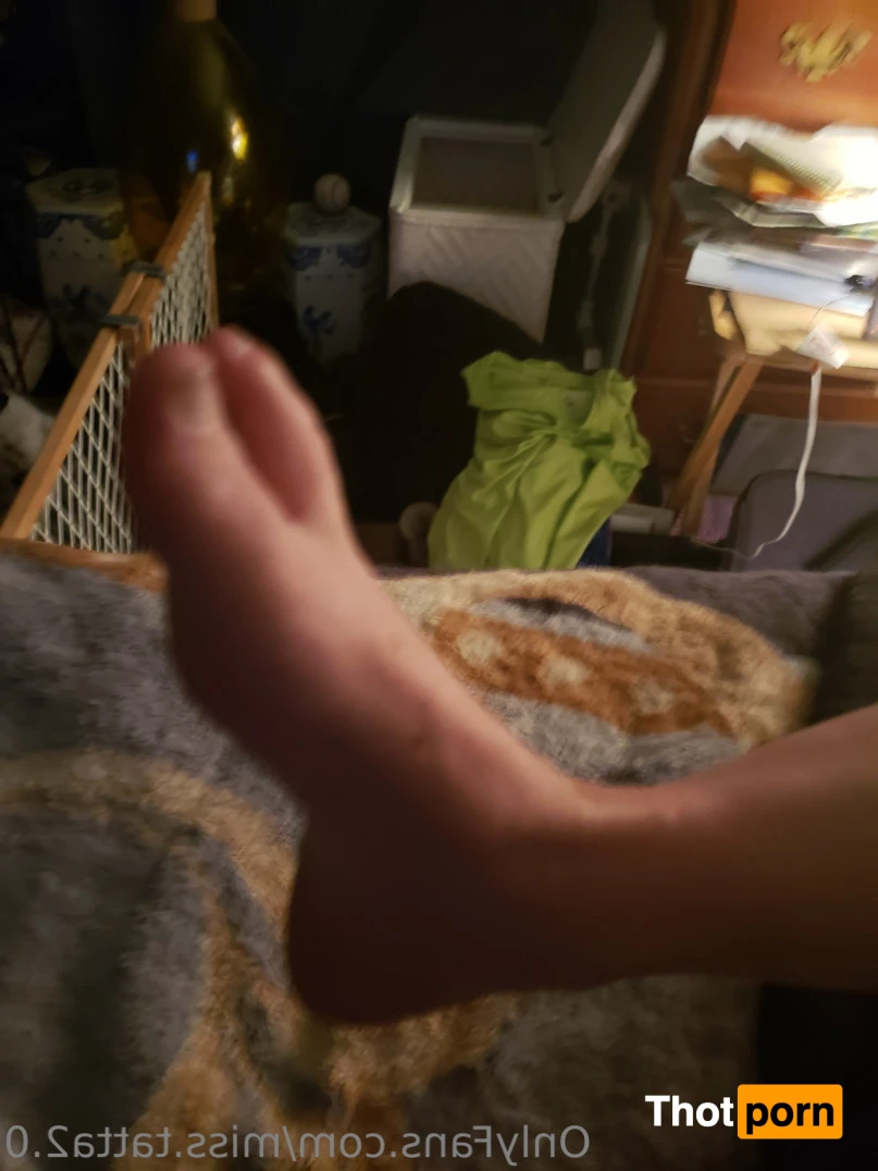 Miss.tattas2.0 14585790