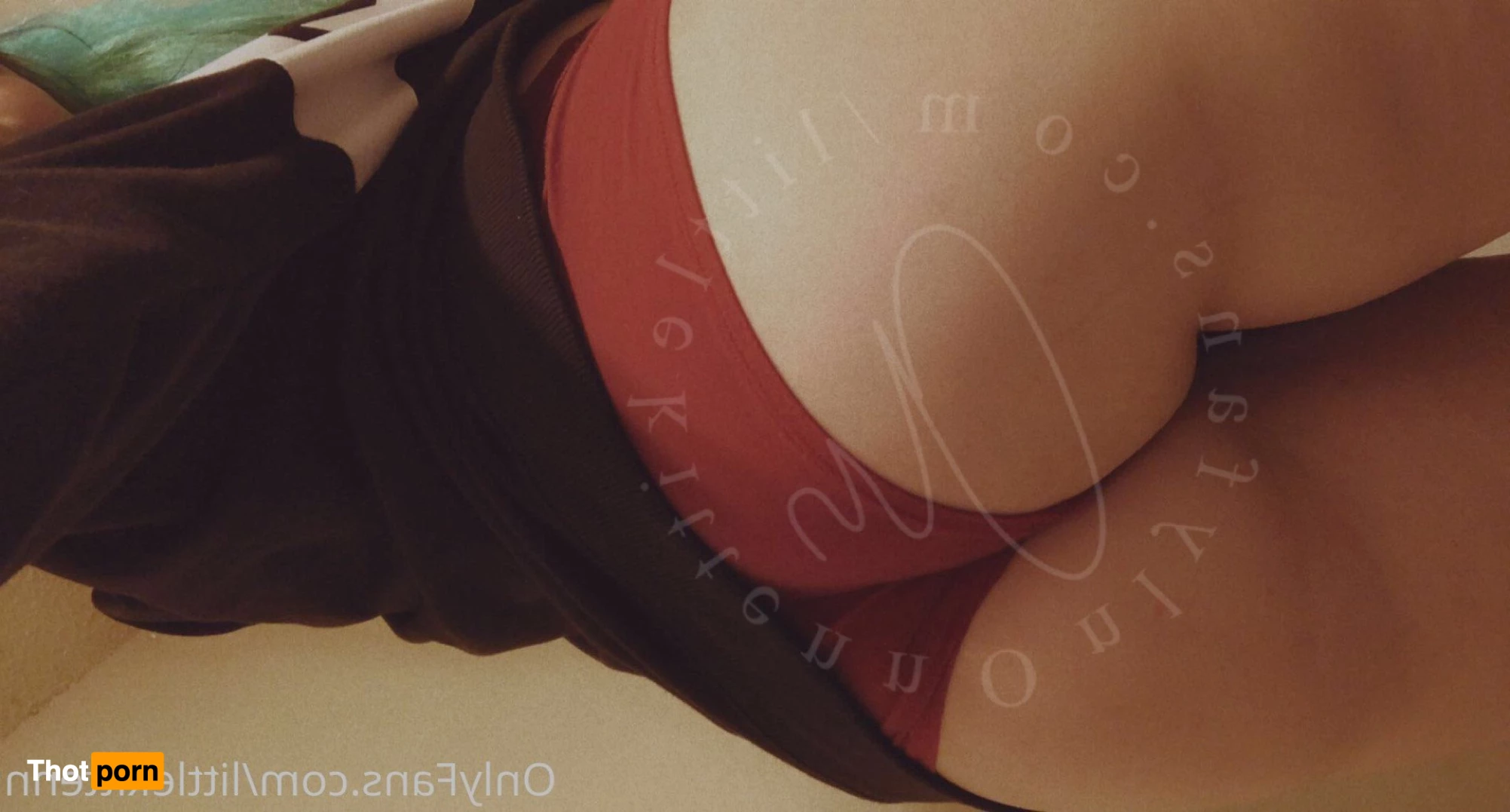 𝔅𝔞𝔟𝔶𝔤𝔦𝔯𝔩 | 𝔱𝔬𝔭 1.5% 4035292