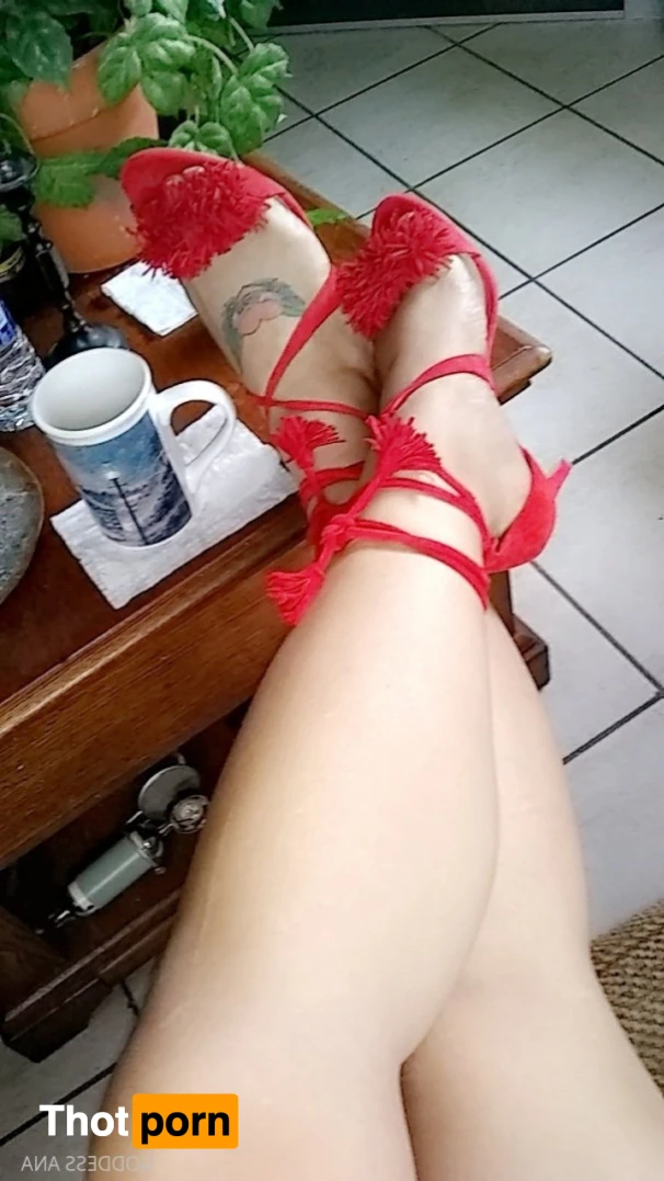 GoddessAnaaa 14328484