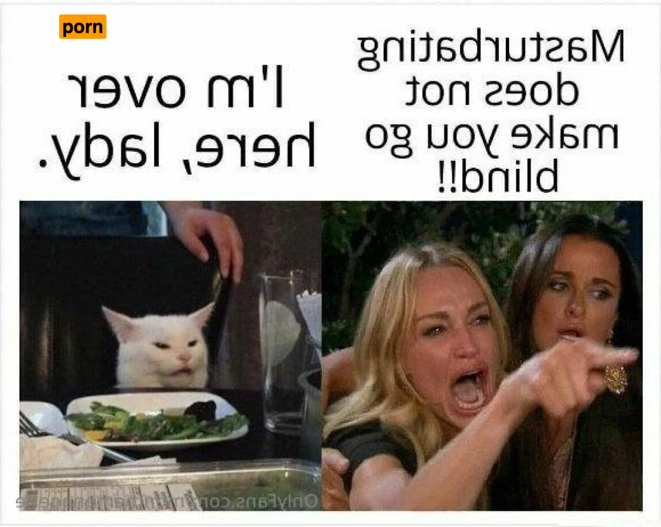 Monroe Menagerie 8371969