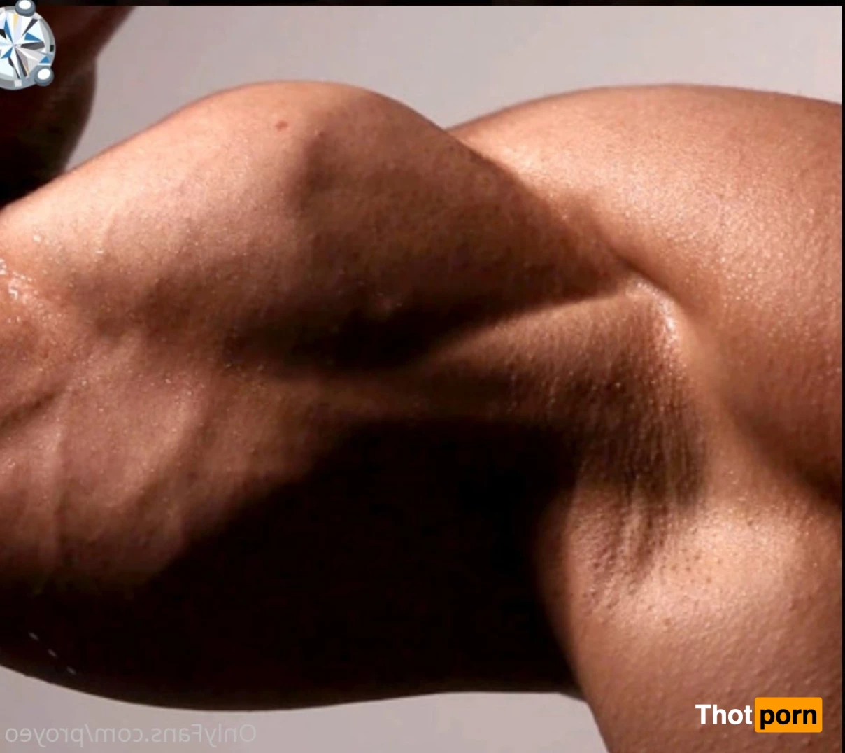 MuscleGeisha 8501701