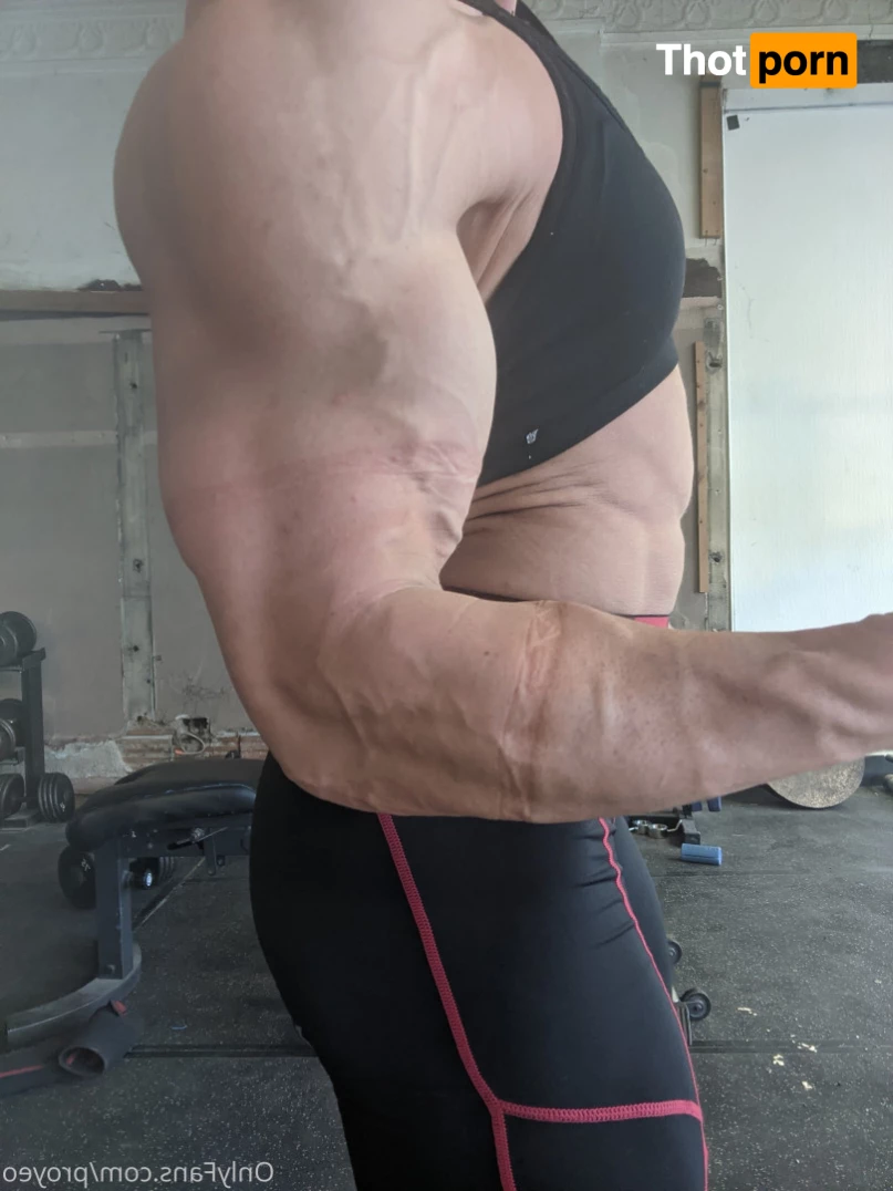 MuscleGeisha 8501862