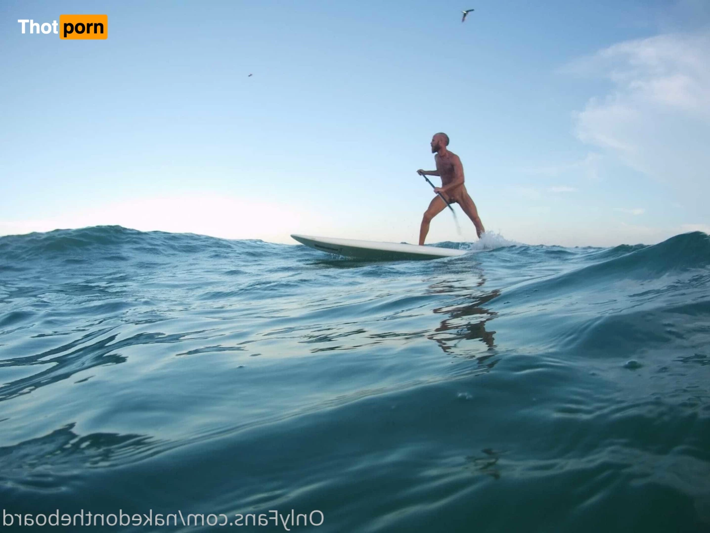 Naked on the board 9756069