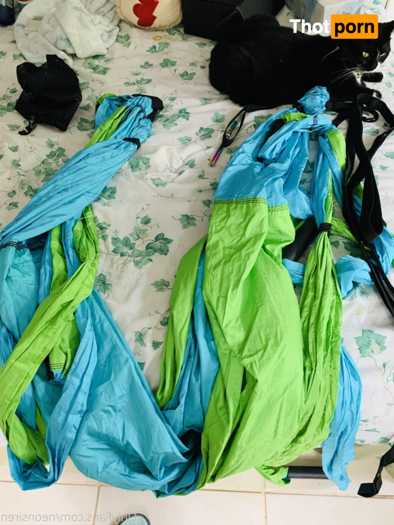 🌹NEONSIREN🌹 9807943