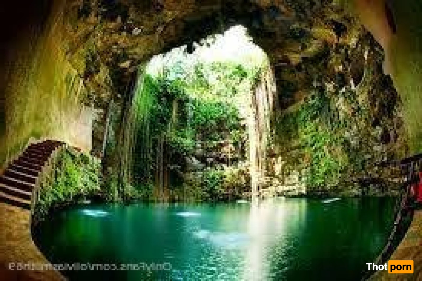 Olivia Smith 🔥 13781954