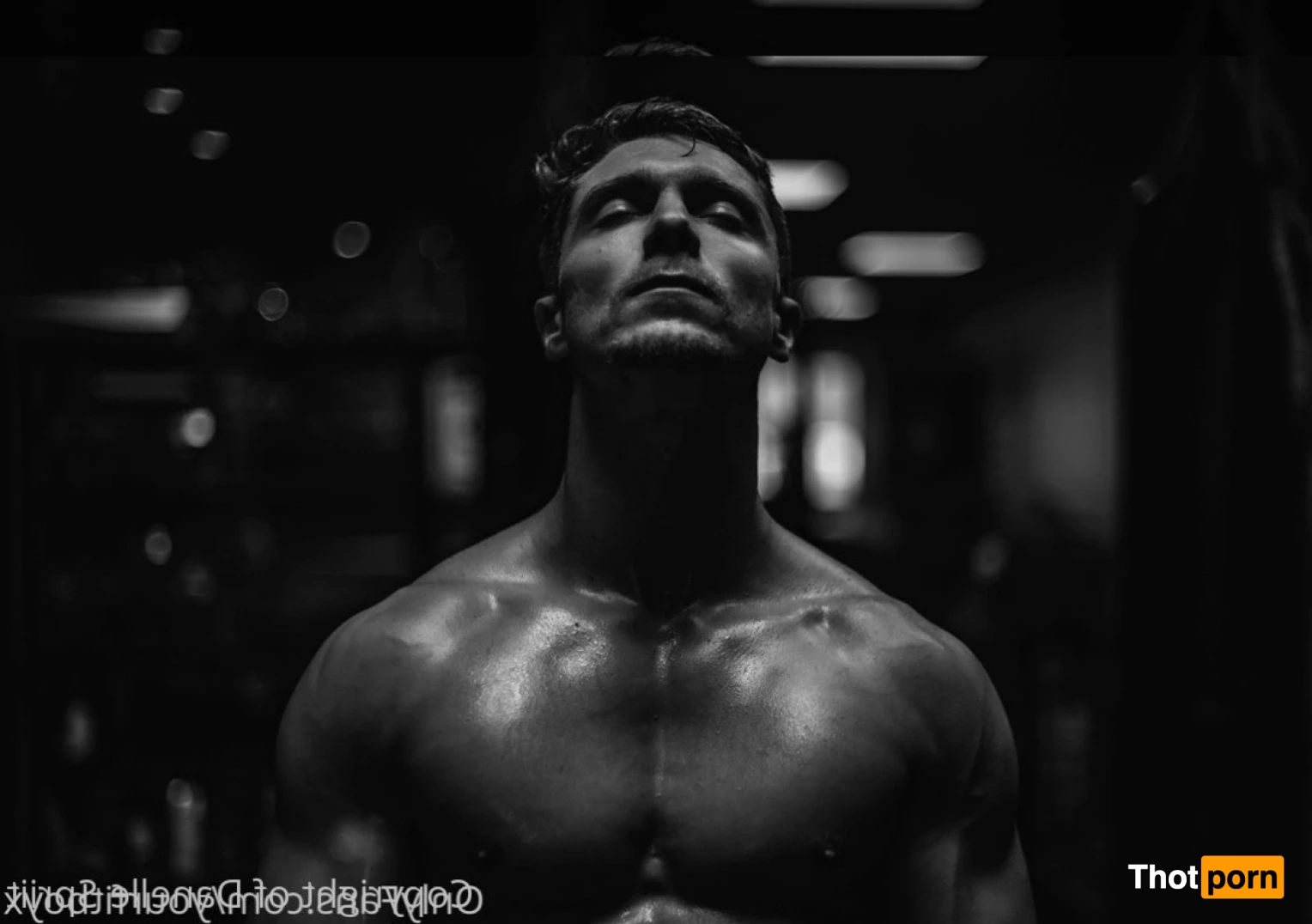 Danelle : Darkling Queen 13771297