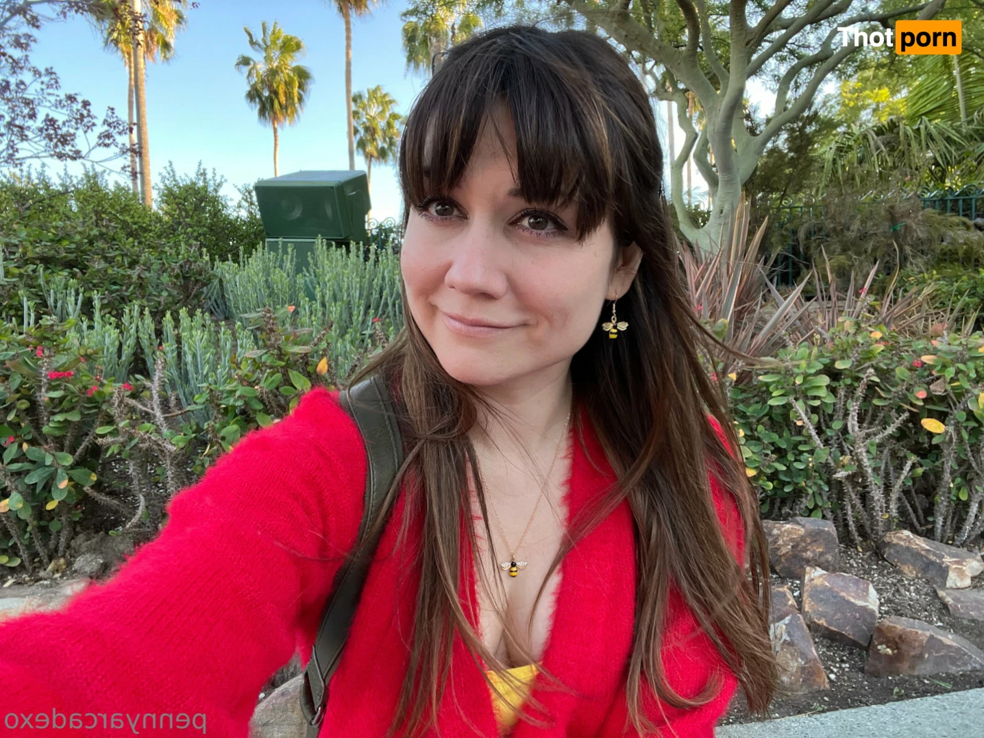 Penny Arcade 13576475