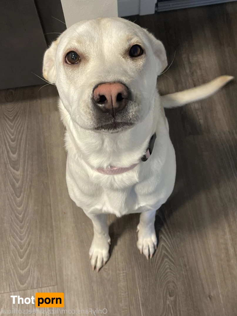 lizzysweetsofficial 735097