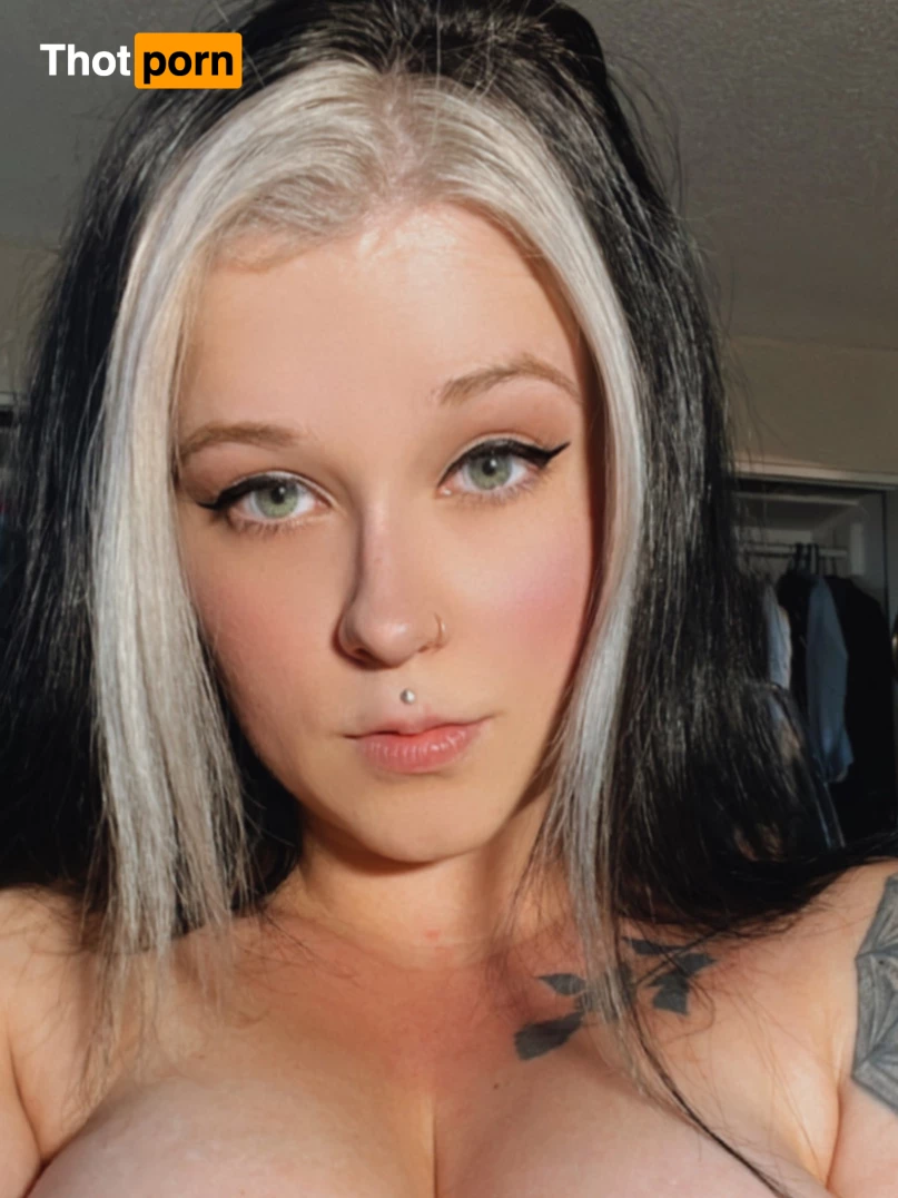 𝙋𝙞𝙥𝙚𝙧 9803161