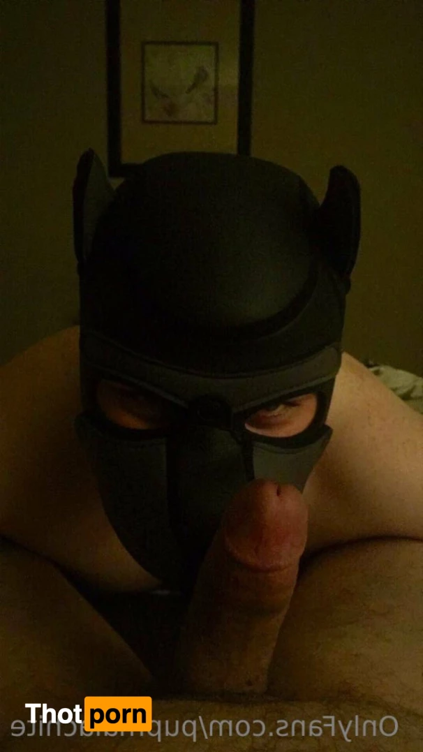 Pup Pulsar (Formerly Malachite) 8273306