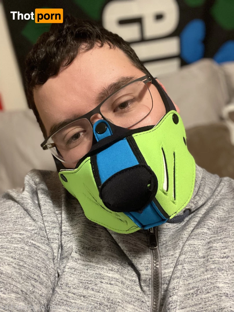 Pup Pulsar (Formerly Malachite) 8273341