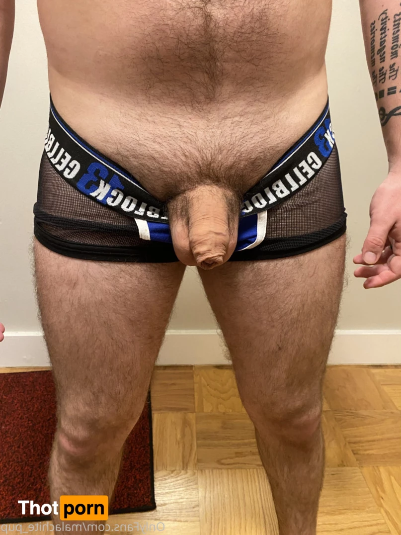 Pup Pulsar (Formerly Malachite) 8273382