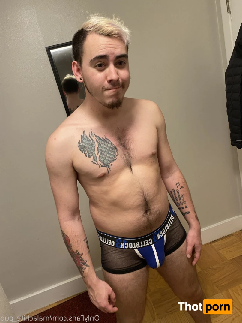 Pup Pulsar (Formerly Malachite) 8273423