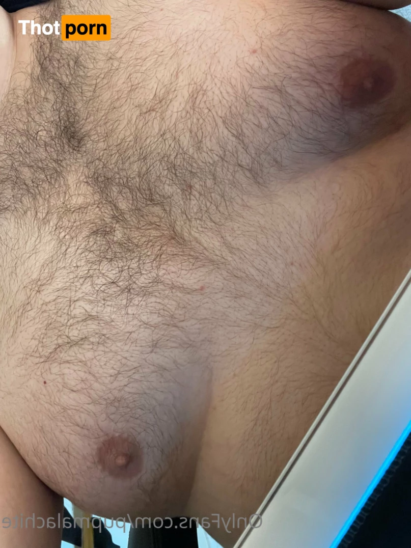 Pup Pulsar (Formerly Malachite) 8273438