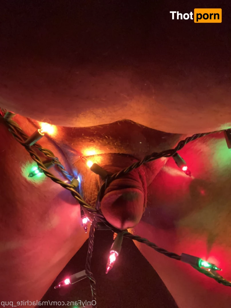 Pup Pulsar (Formerly Malachite) 8273556