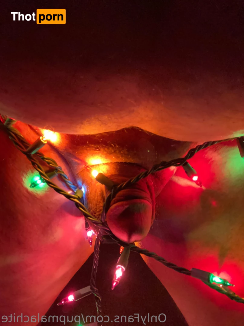 Pup Pulsar (Formerly Malachite) 8273646