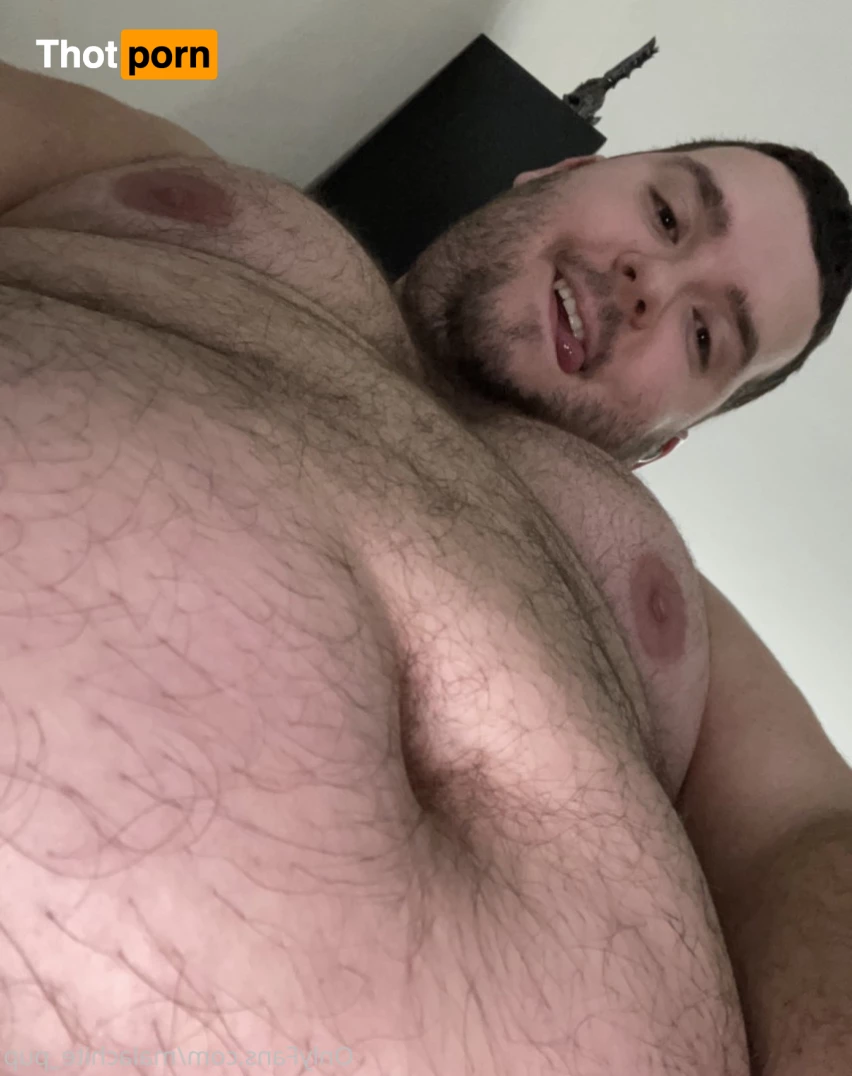 Pup Pulsar (Formerly Malachite) 8273698