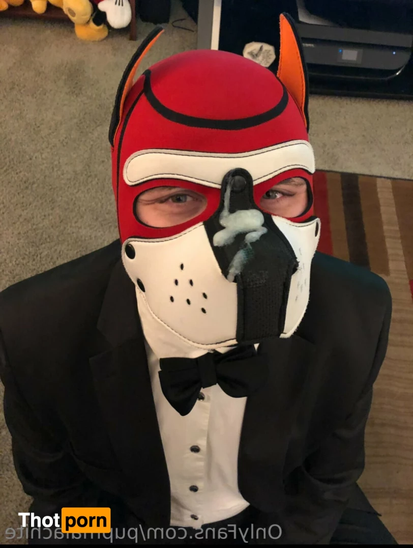 Pup Pulsar (Formerly Malachite) 8273836