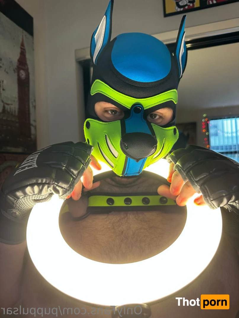 Pup Pulsar (Formerly Malachite) 10916963