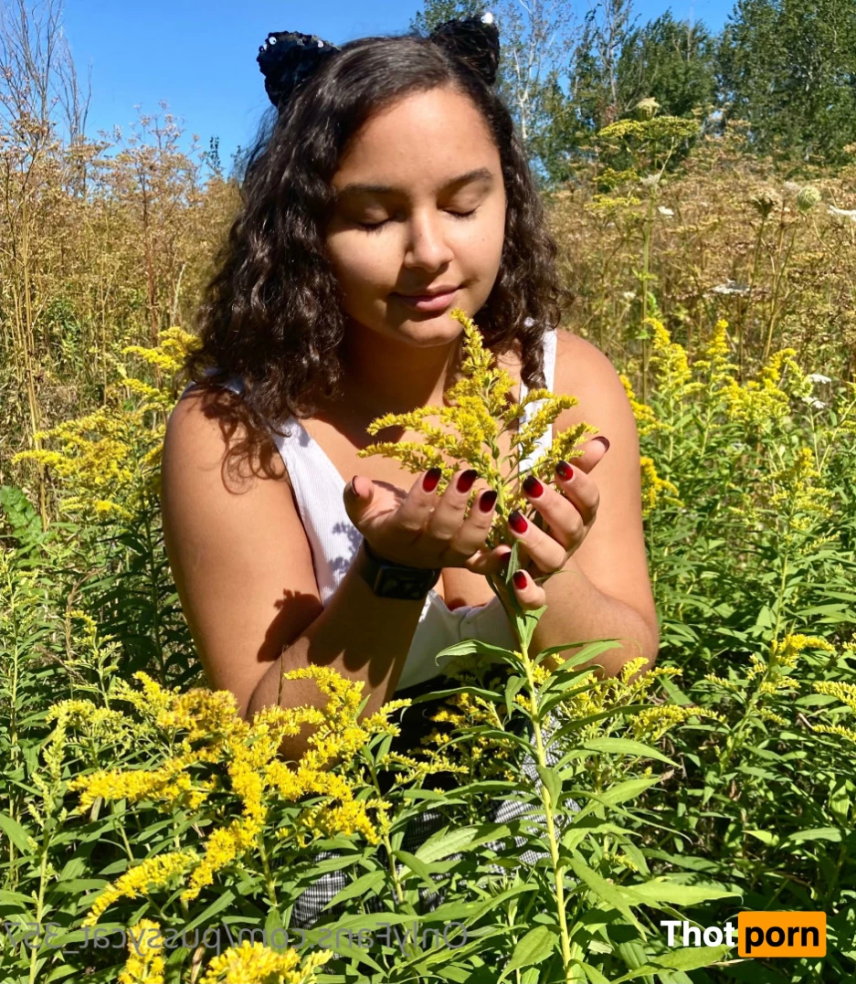 Naughty Kitty 8406843