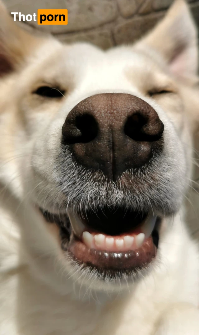 Rebecca Lord 10109468