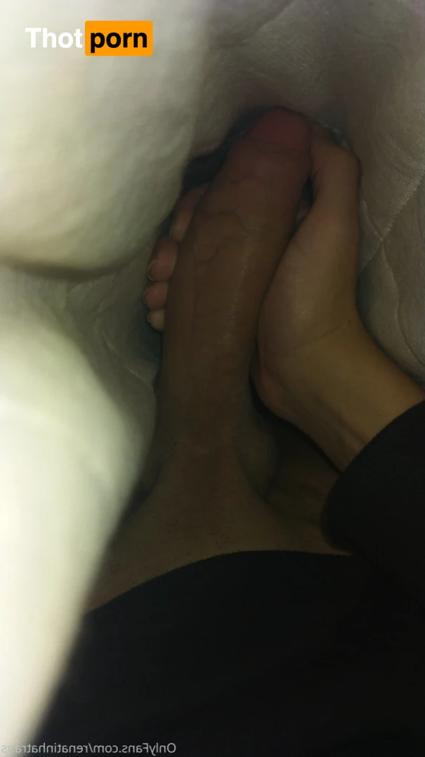 Renatinhatrans 12670589