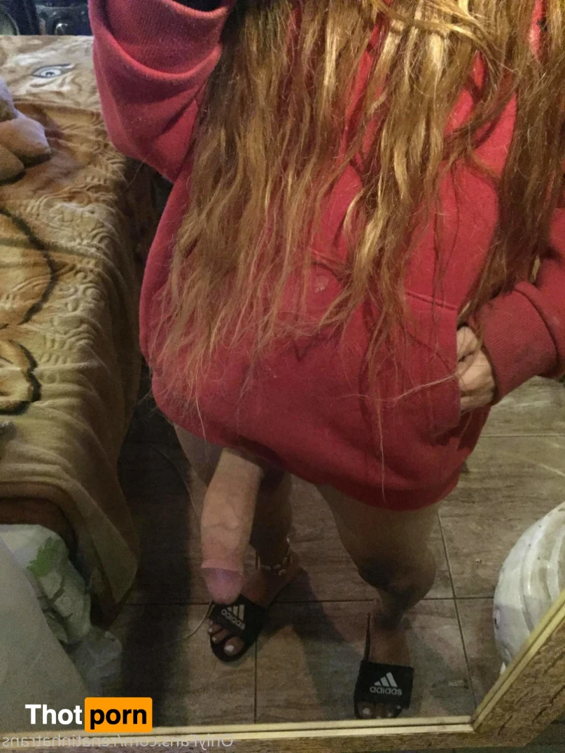 Renatinhatrans 12671264