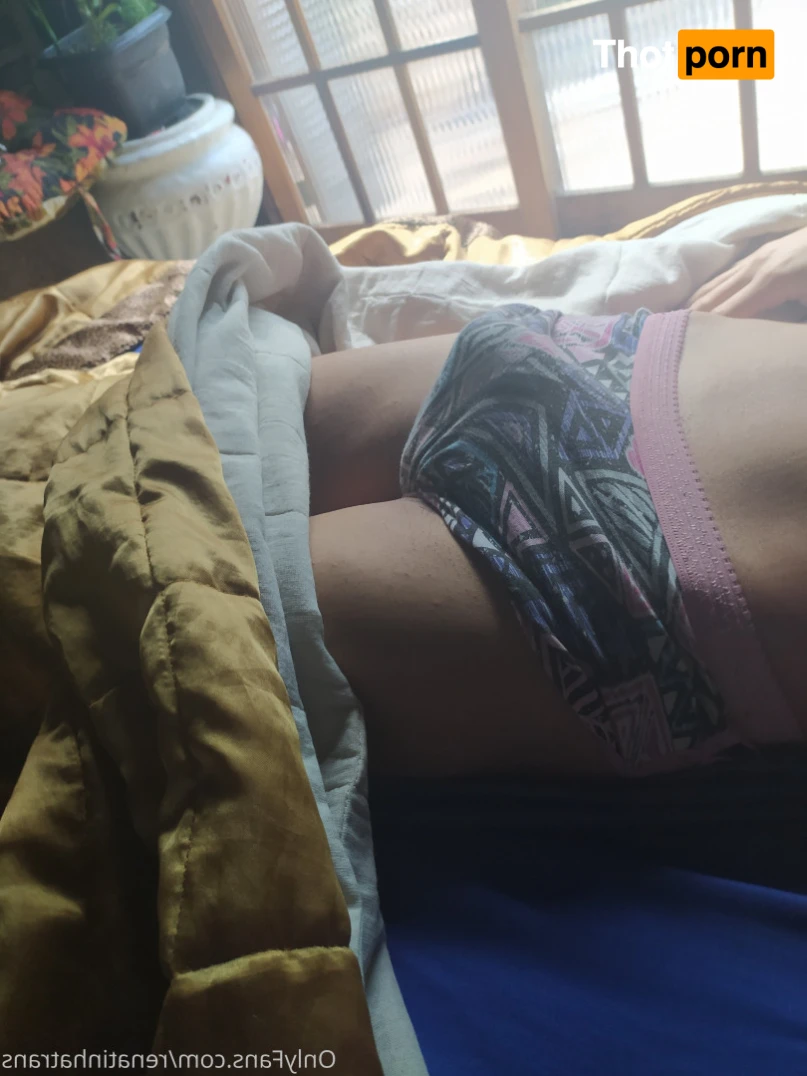 Renatinhatrans 12671554