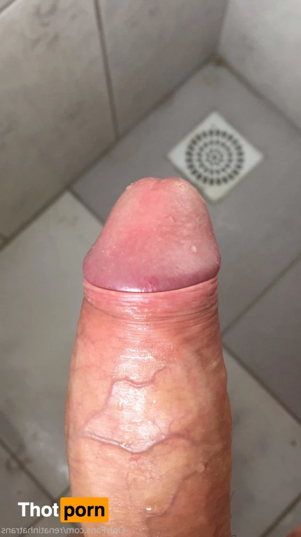 Renatinhatrans 12671669