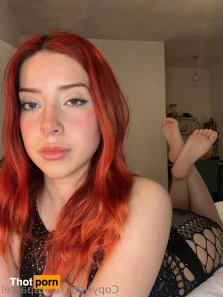 12624053