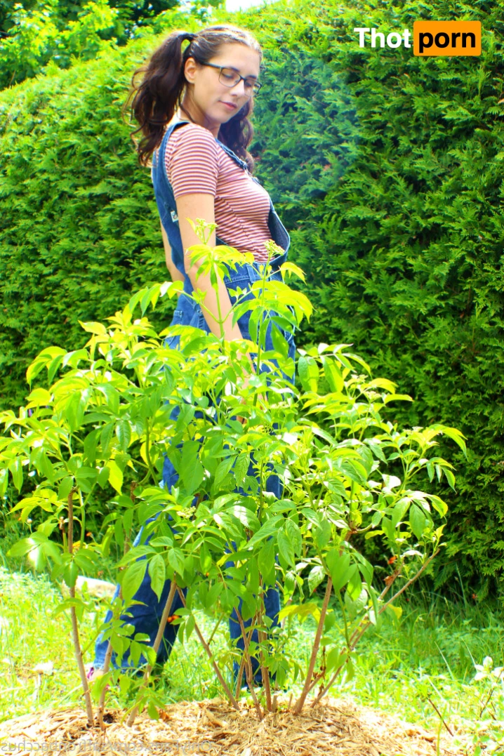 Saffron Bacchus 12504230