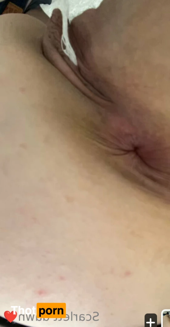 Scarlett Dawnhunter 12144492